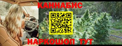 прущий лед Гай