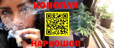прущий лед Гай