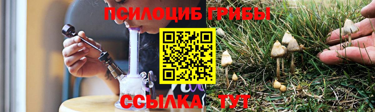 Псилоцибиновые грибы Magic Shrooms Канаш