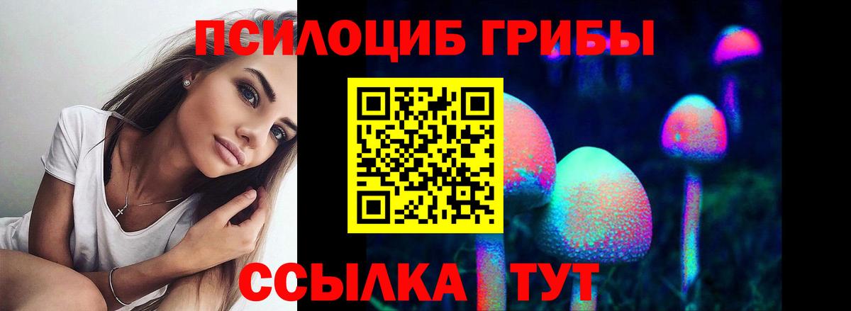 Галлюциногенные грибы Psilocybe Канаш