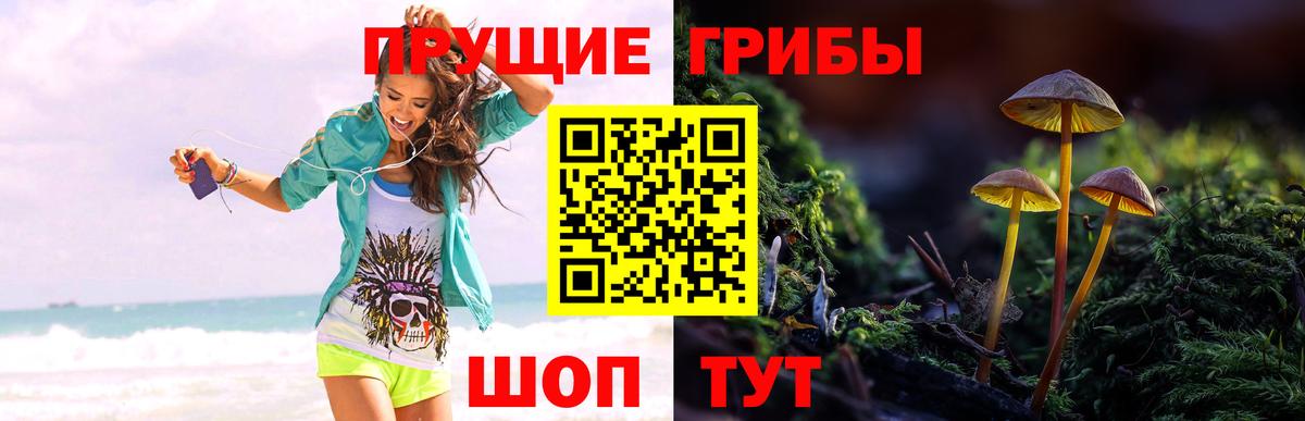 Псилоцибиновые грибы Magic Shrooms  Вход с VPN  Канаш  Галлюциногенные грибы мухоморы 