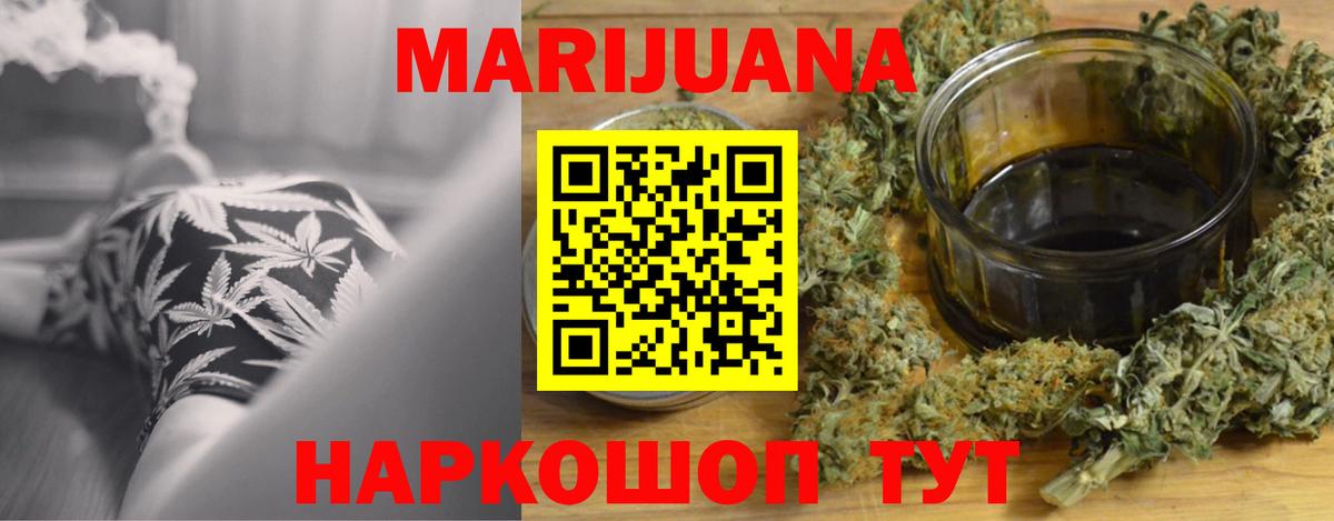 Каннабис сатива Канаш