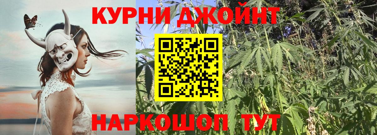 Бошки марихуана план  Вход с VPN  Канаш  Марихуана планчик 